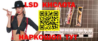 mdma Камышлов