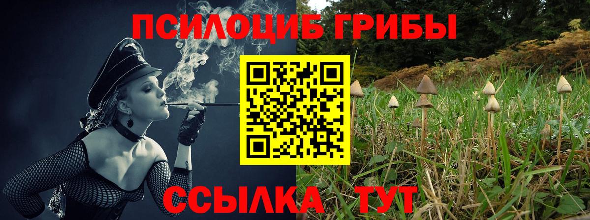Галлюциногенные грибы ЛСД  Псилоцибиновые грибы MAGIC MUSHROOMS  Вход с VPN  Коряжма 