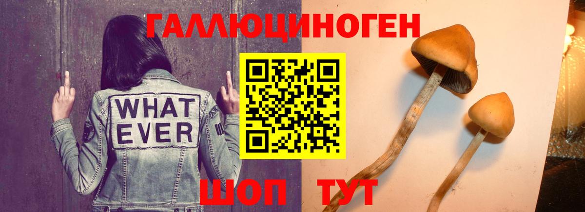 Галлюциногенные грибы прущие грибы Коряжма